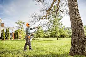 Mcconnell Af, KS  Tree Services Company