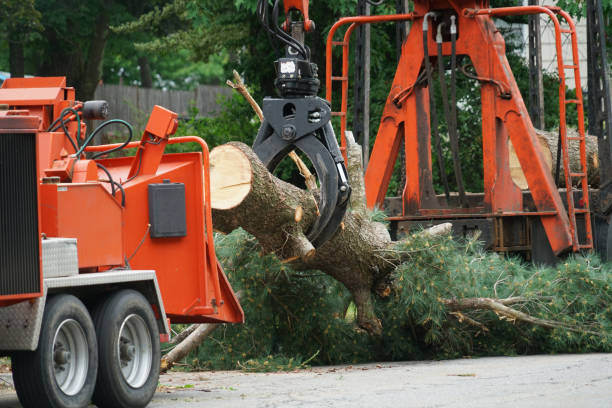 Best Tree Removal Service  in Mcconnell Af, KS